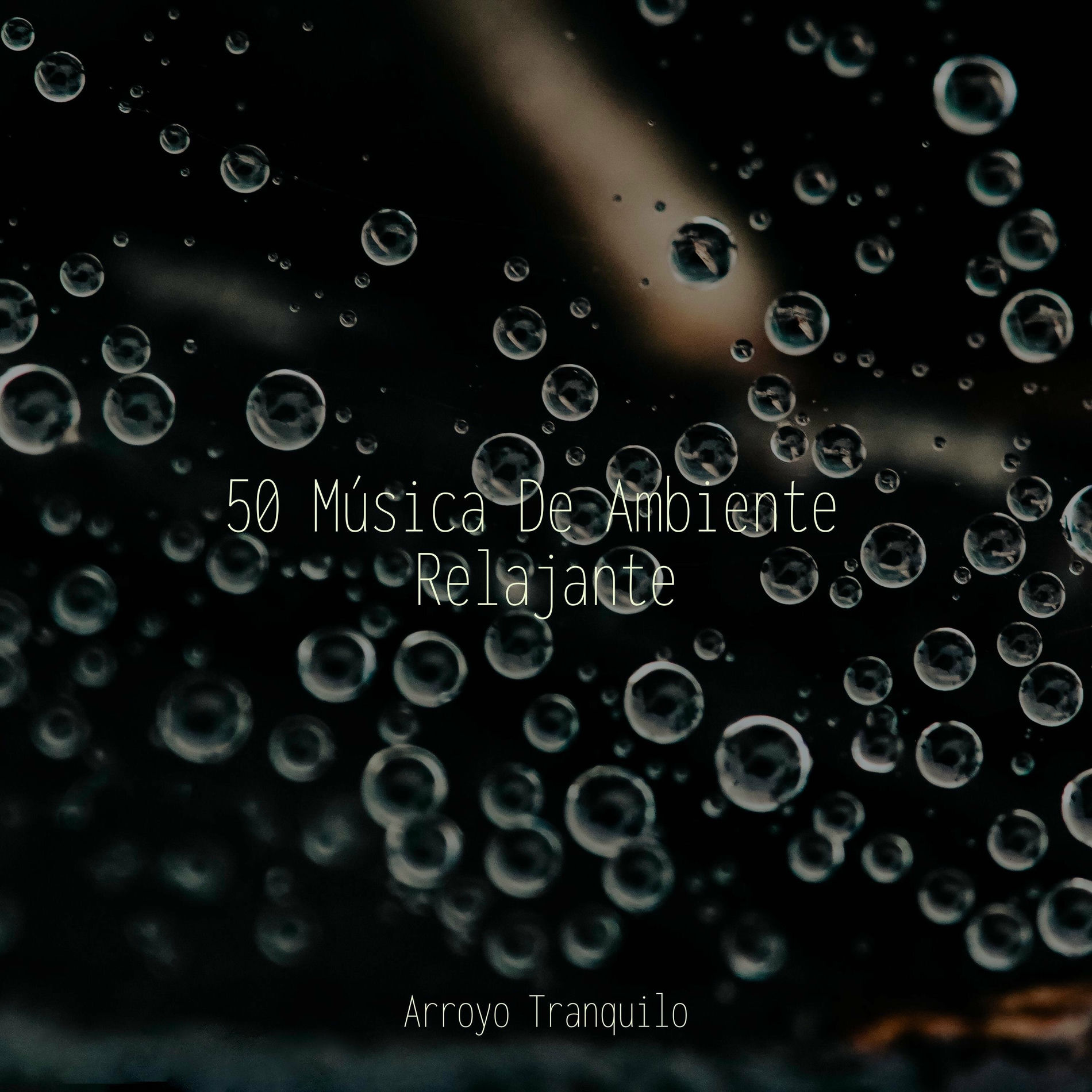 Album cover of 50 Música De Ambiente Relajante