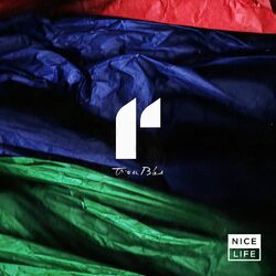 Cover of Troubles