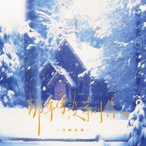 那年雪没等到你