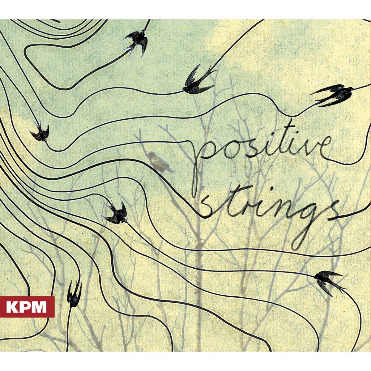 Album cover of Positive Strings