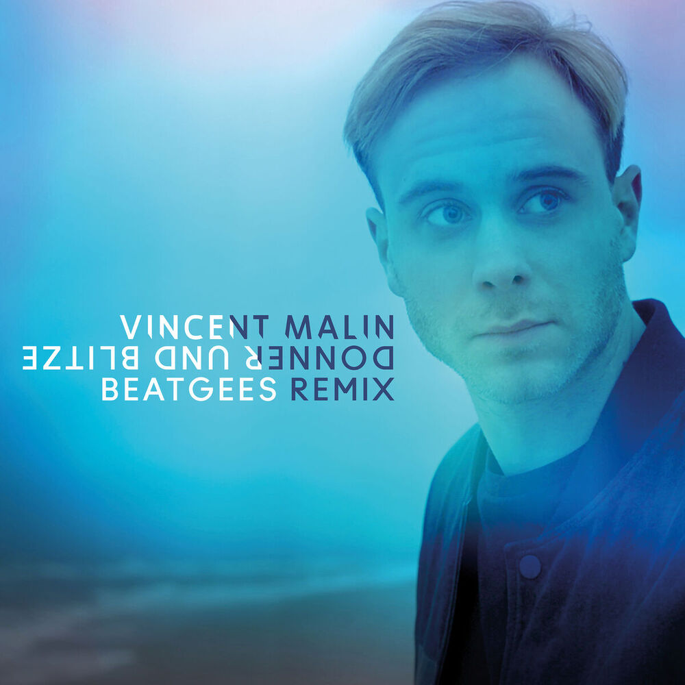 Picture of Donner und Blitze (Beatgees Remix)