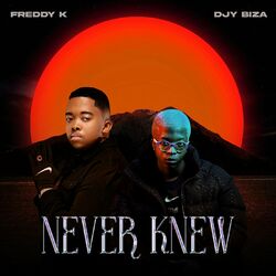 Cover of Never Knew