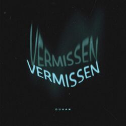 Cover of Vermissen