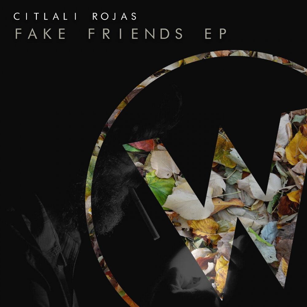 Picture of Fake Friends EP
