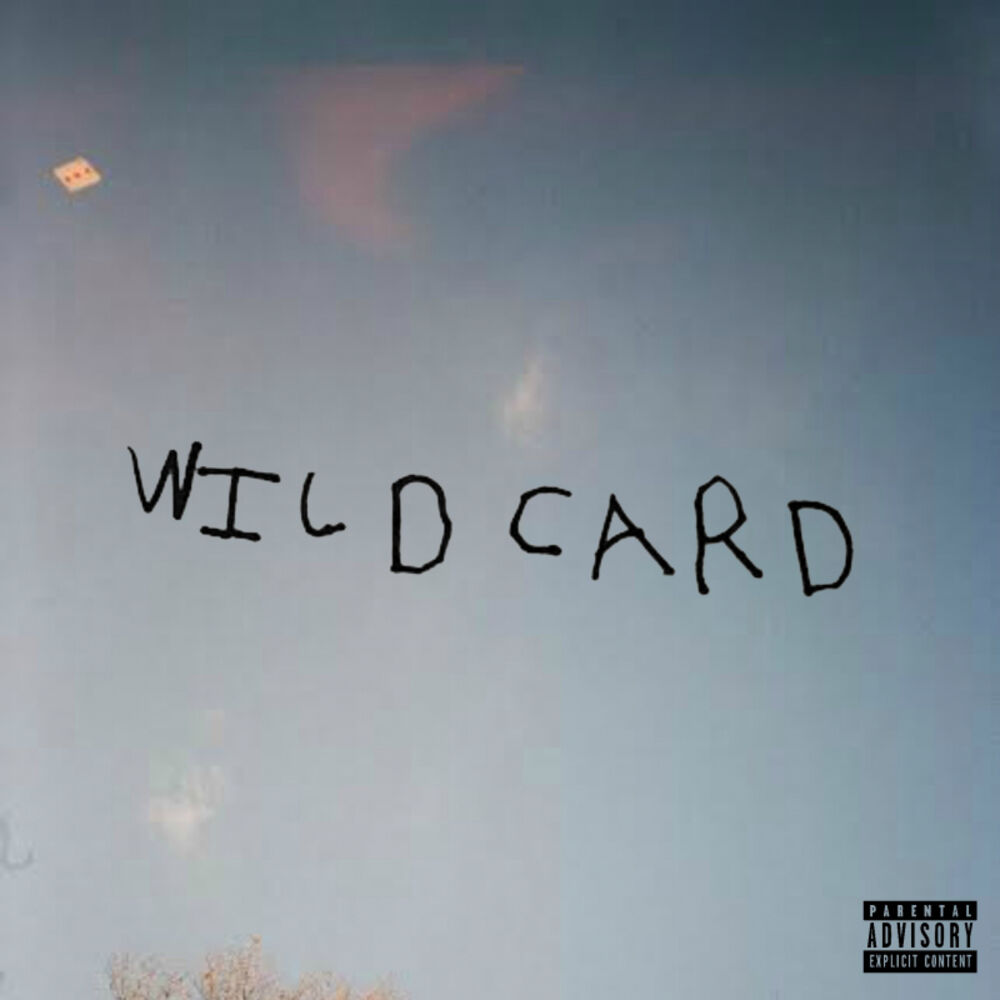 Picture of Wild Card