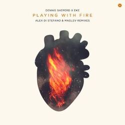 Cover of Playing with Fire