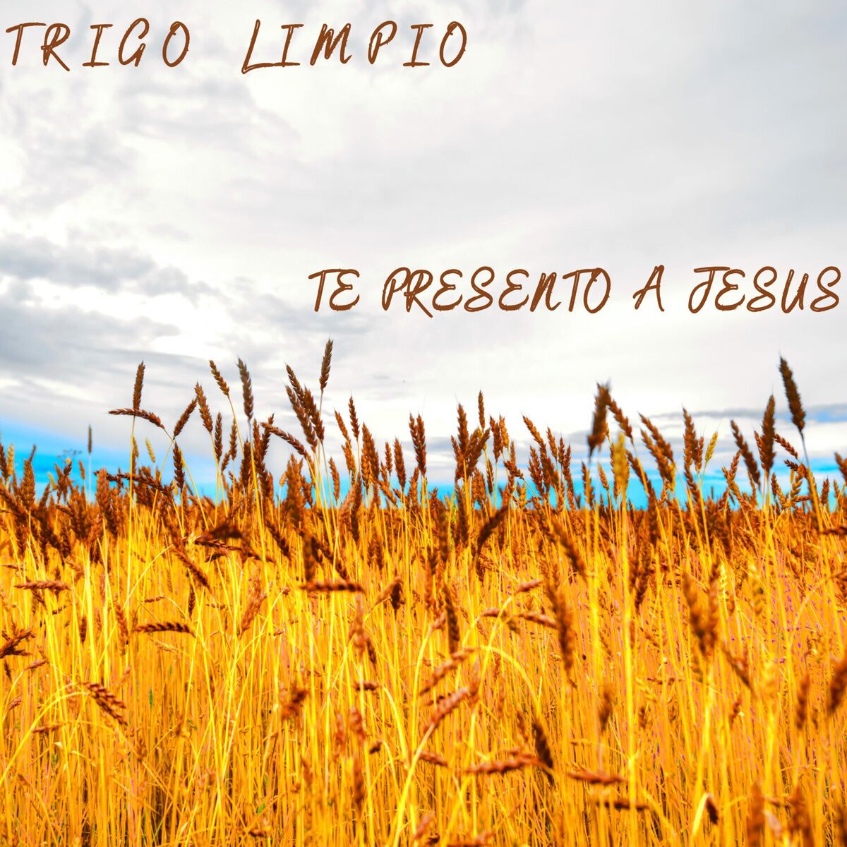 Album cover of Te Presento a Jesús
