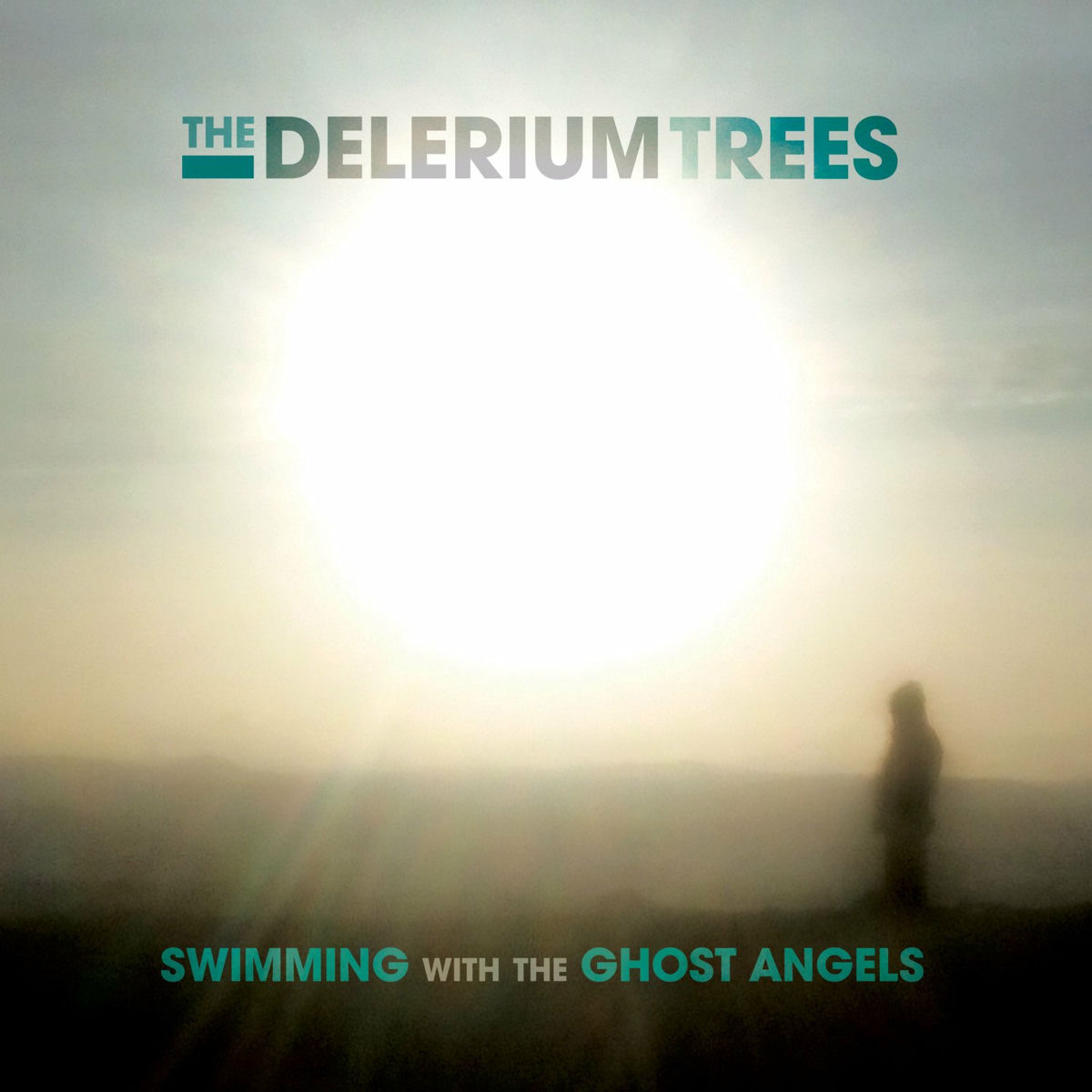 Album cover of Swimming with the Ghost Angels