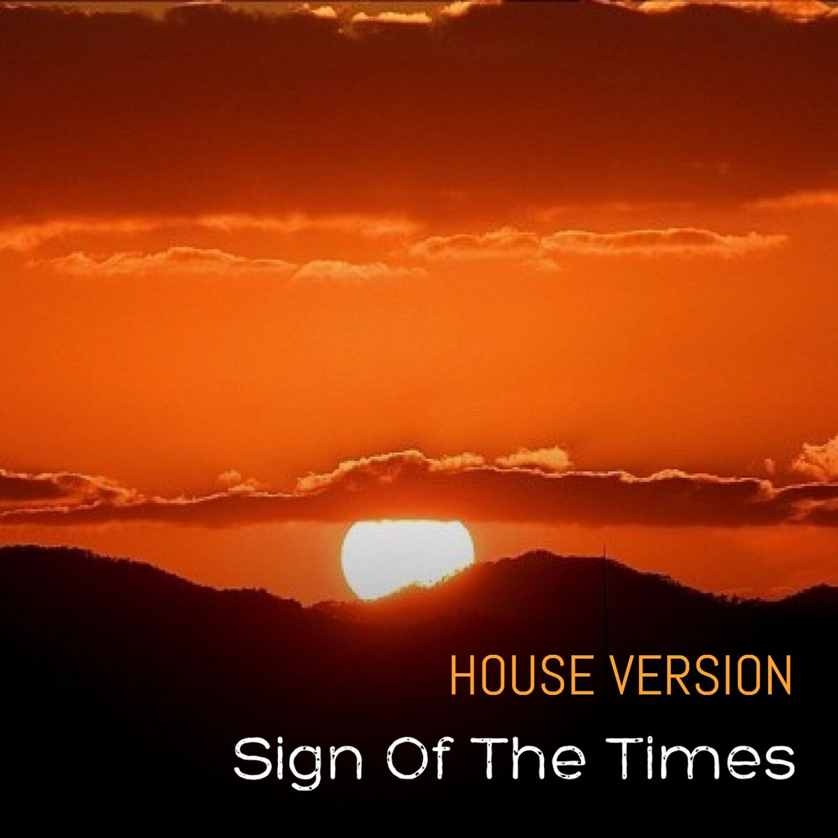 Album cover of Sign Of The Times