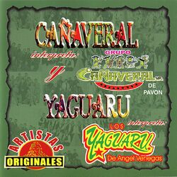 Cover of Cañaveral Yaguaru