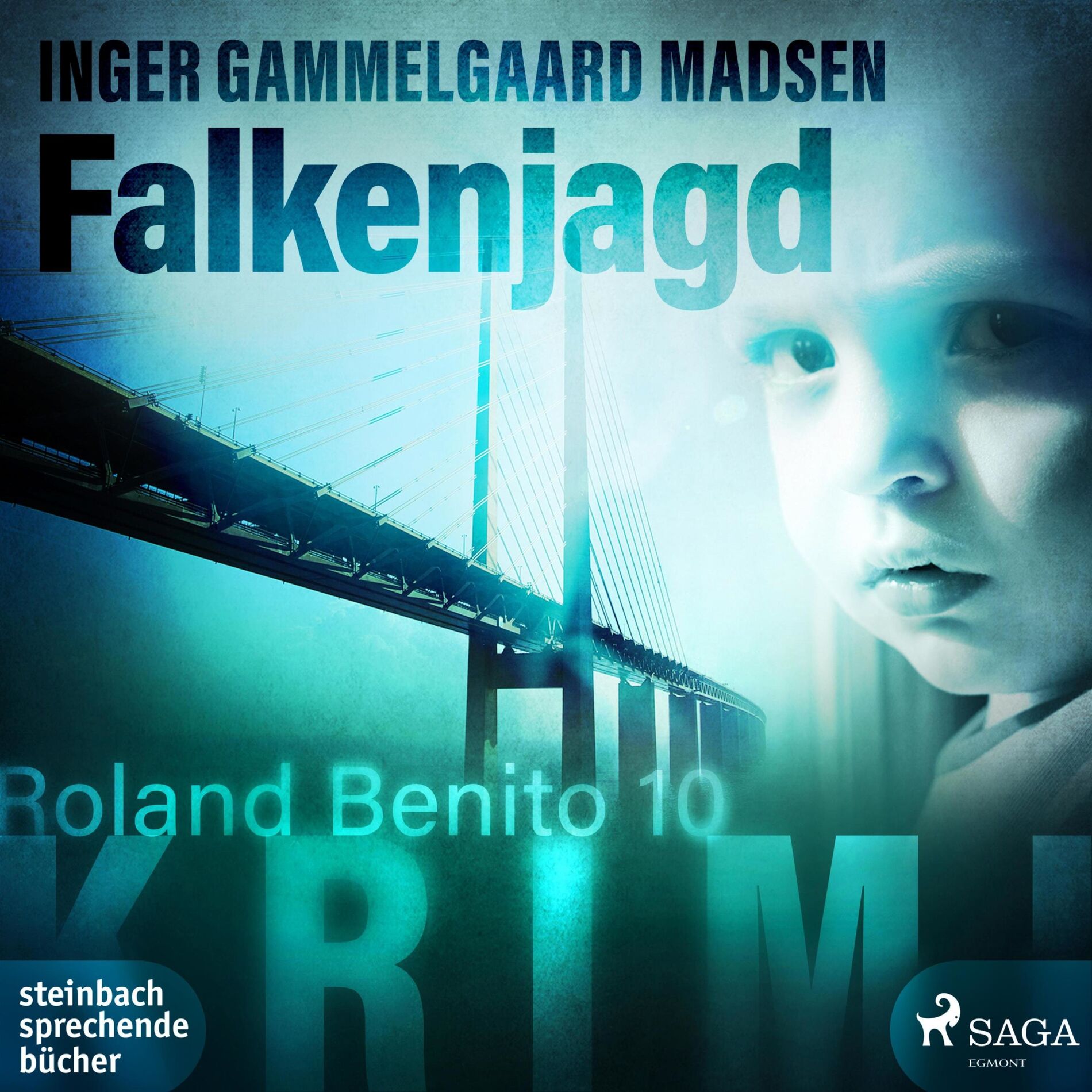 Album cover of Falkenjagd - Roland Benito-Krimi 10