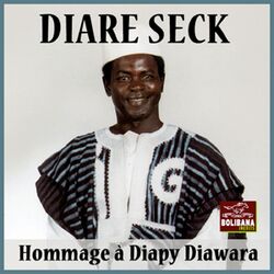 Cover of Hommage à Diapy Diawara