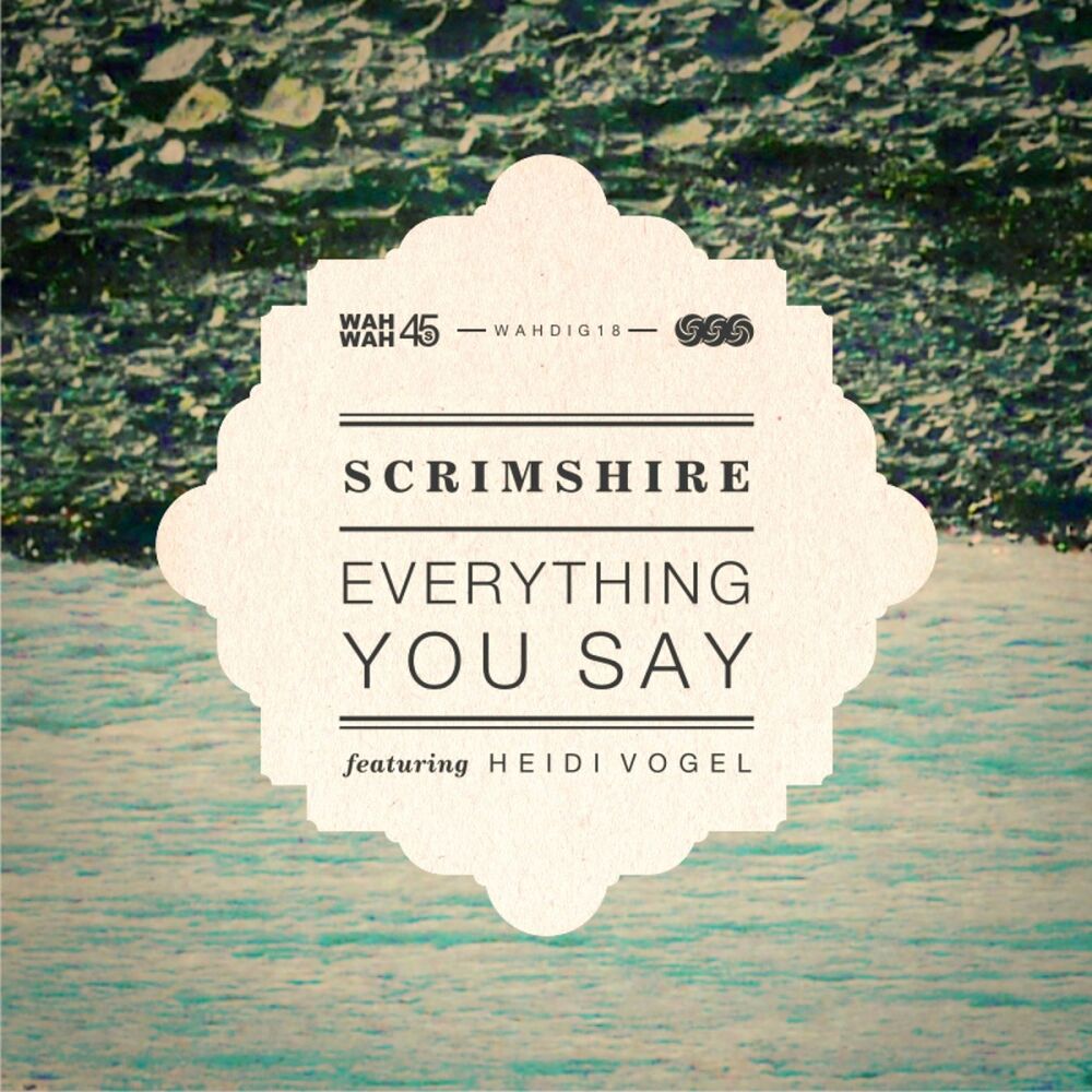 Picture of Everything You Say (feat. Heidi Vogel)