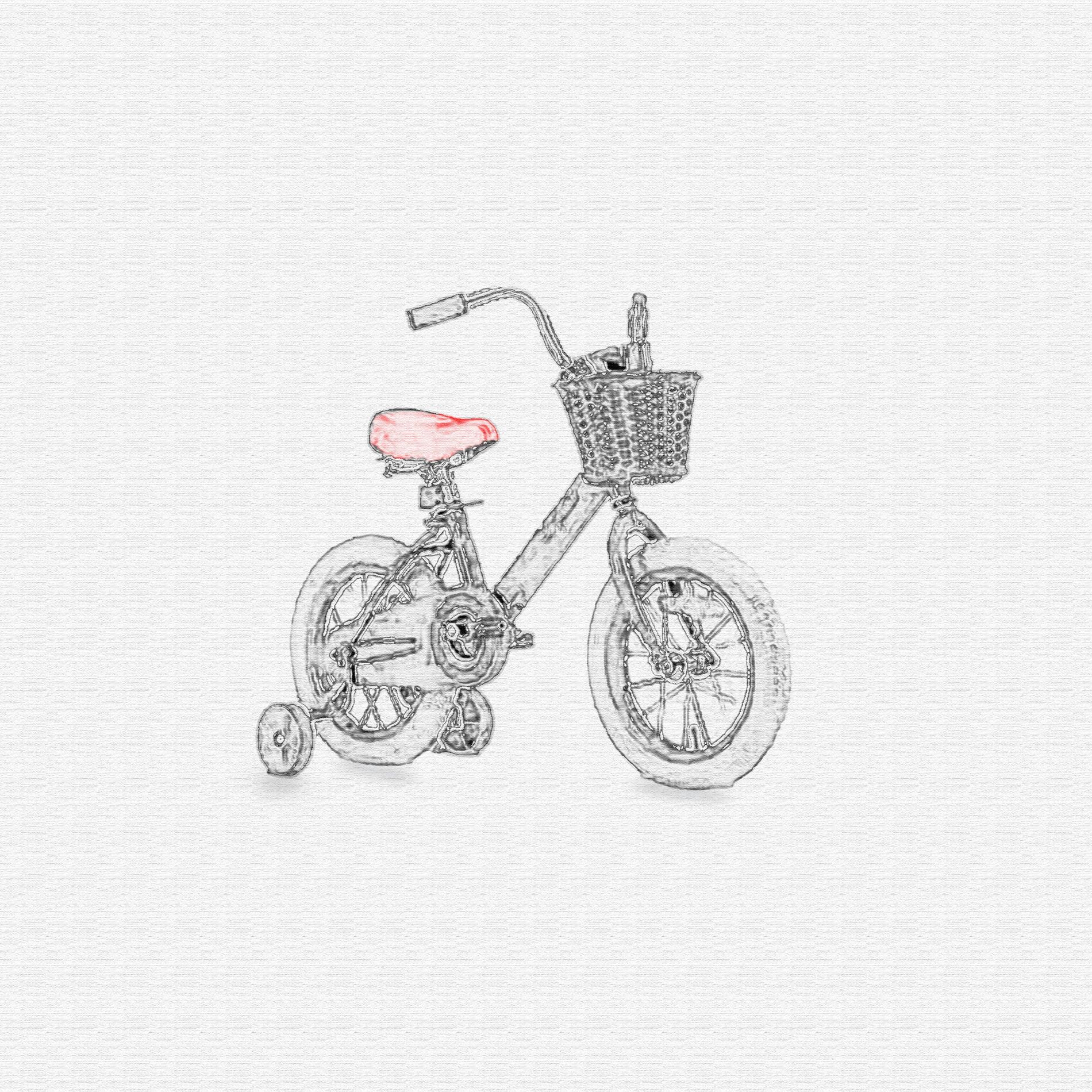 Album cover of Training Wheels