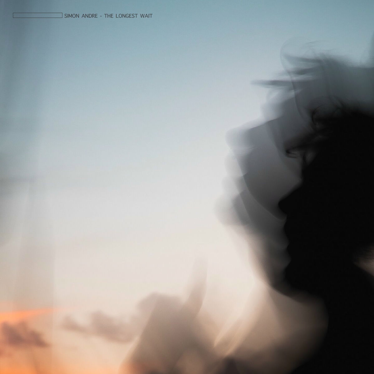 Album cover of The Longest Wait