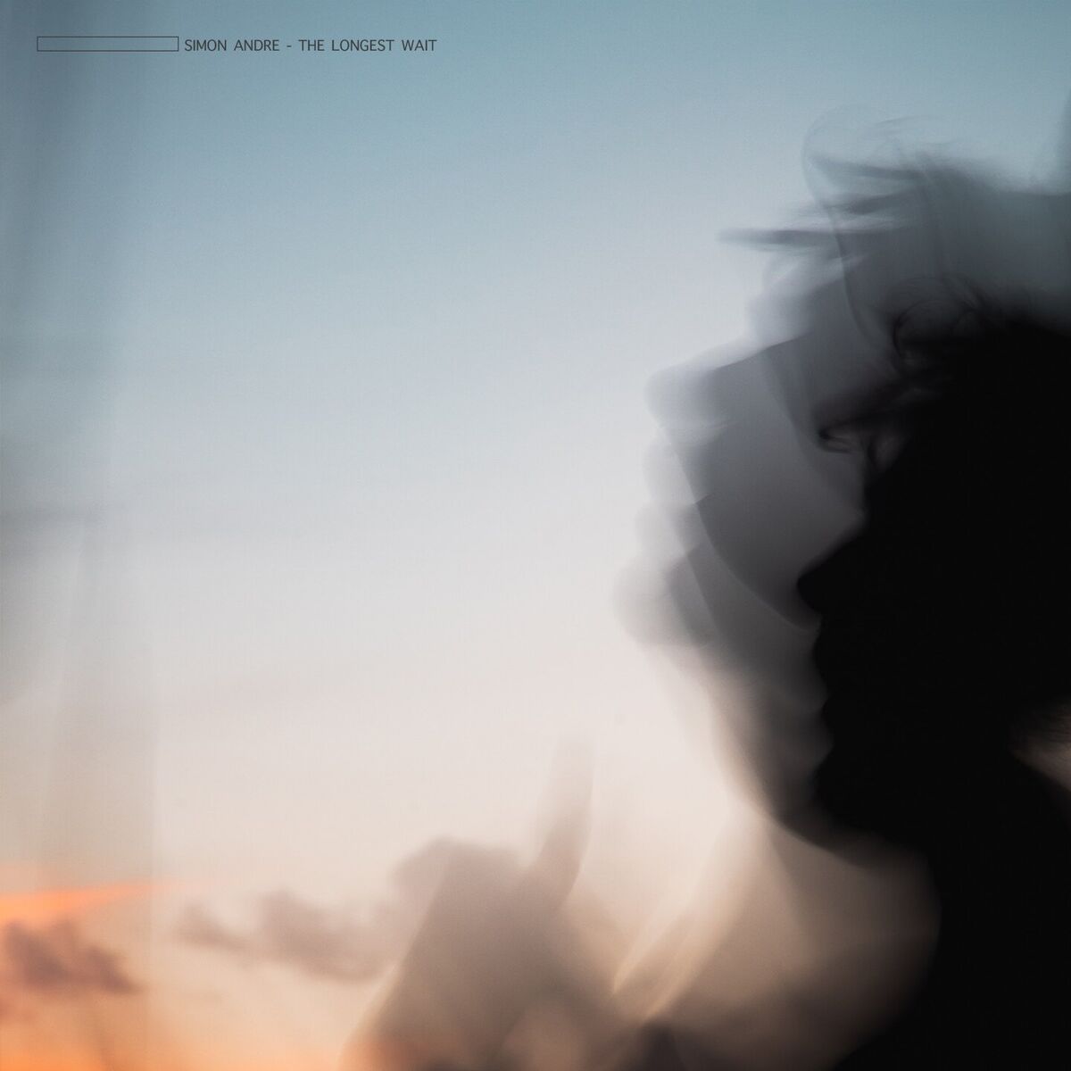 Album cover of The Longest Wait