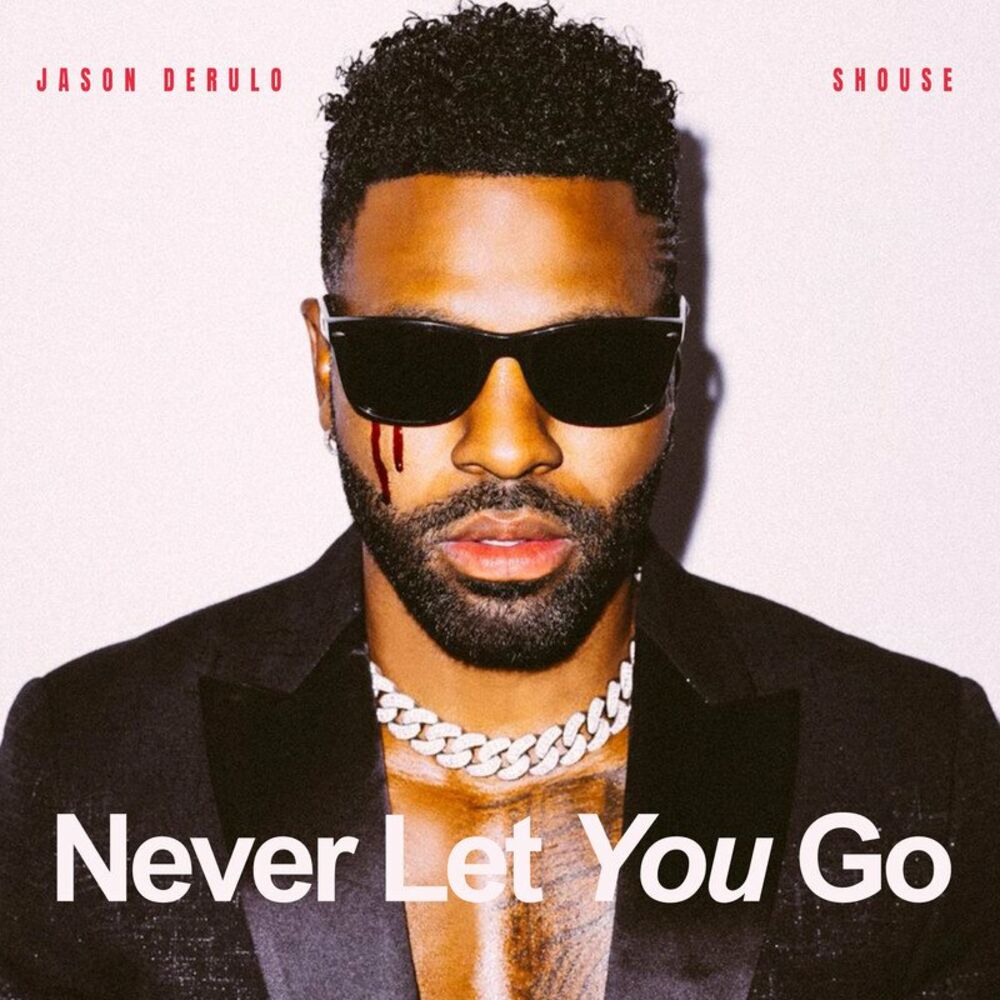 Picture of Never Let You Go