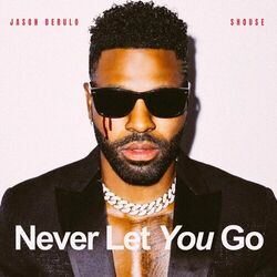 Cover of Never Let You Go