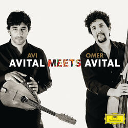 Cover of Avital Meets Avital
