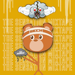 Cover of The Sensation Mixtape