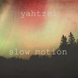 Cover of Slow Motion