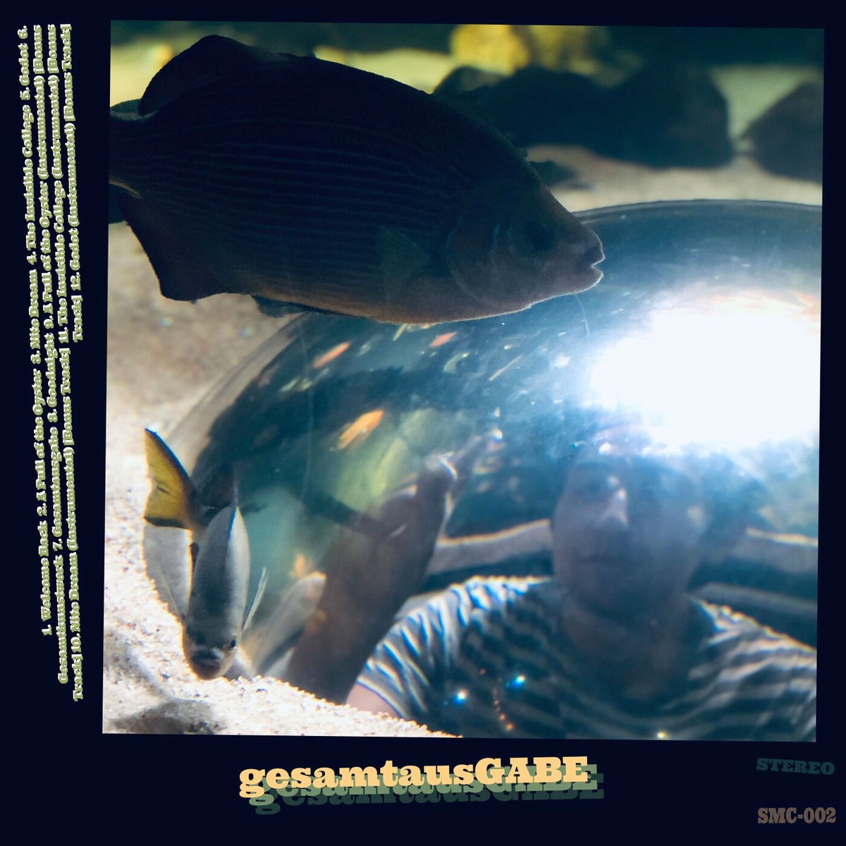 Album cover of gesamtausGABE