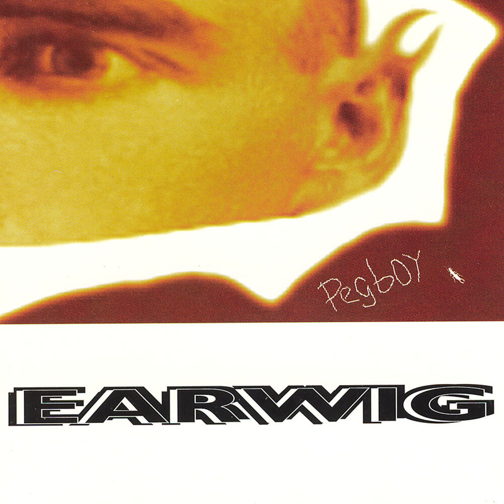 Picture of Earwig