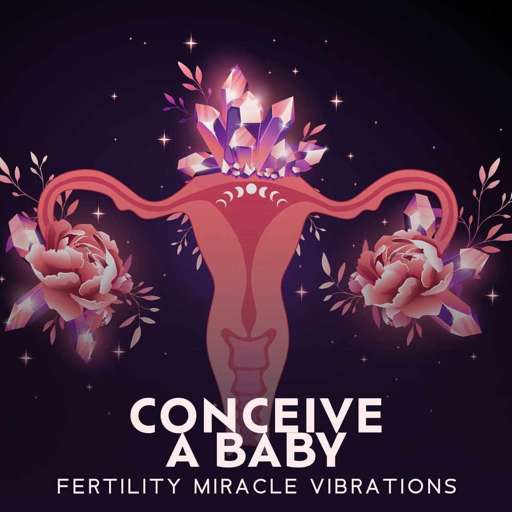 Picture of Conceive a Baby: Fertility Miracle Vibrations, Rituals for Conception, Invite Your Baby Into Your Womb