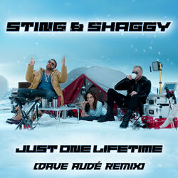 Cover of Just One Lifetime (Dave Audé Remix)
