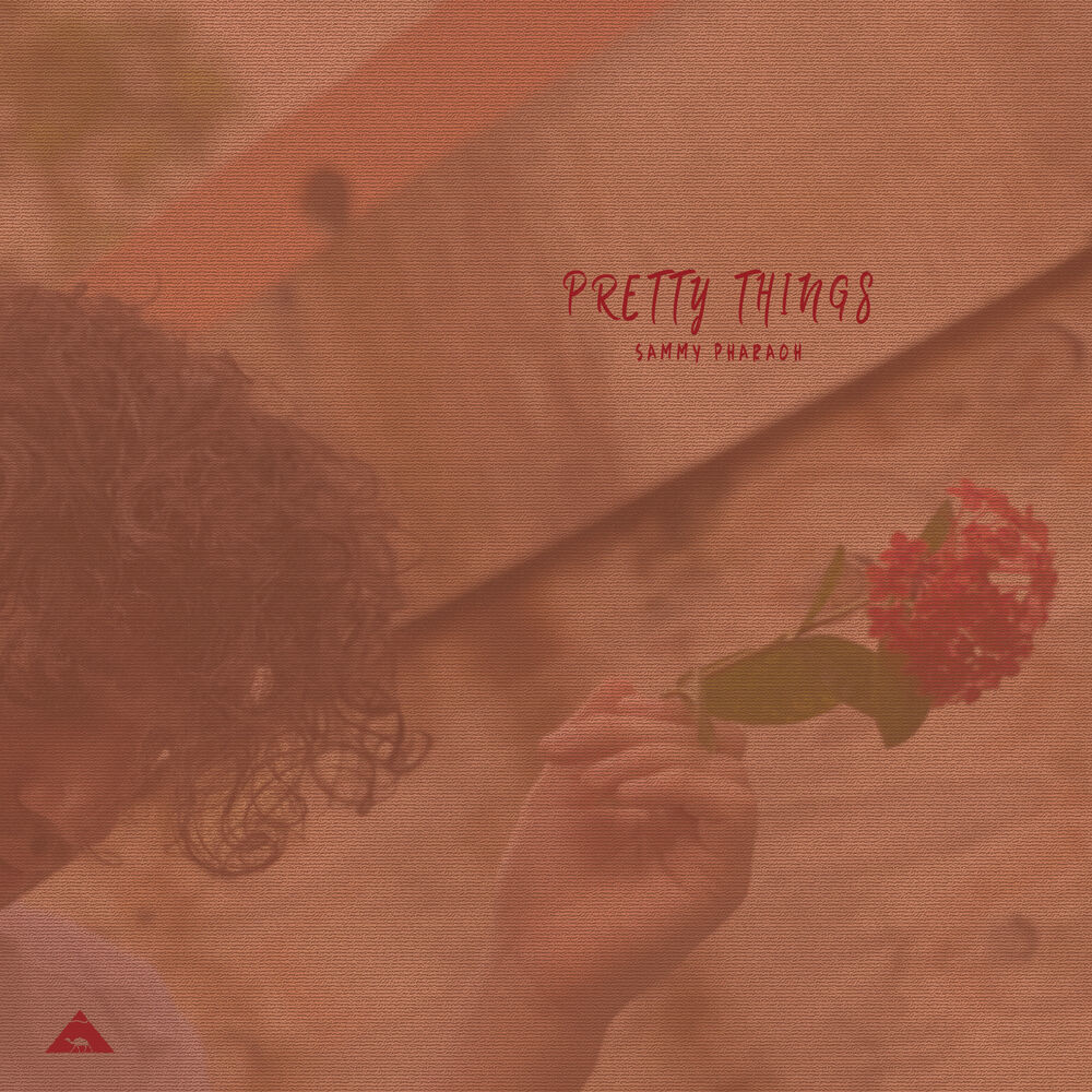 Picture of Pretty Things