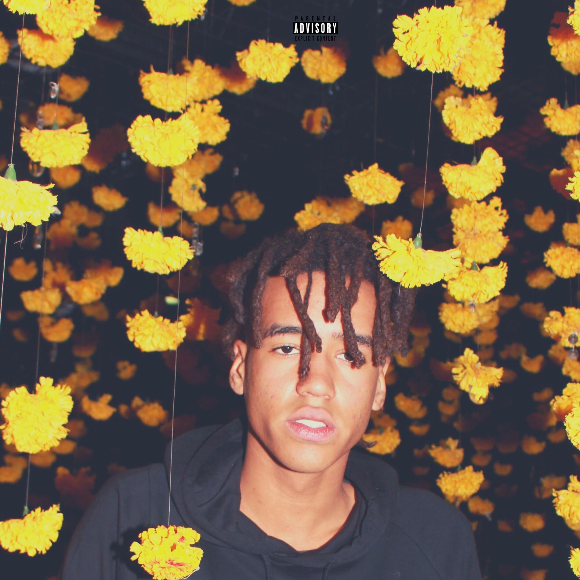 Album cover of GAF