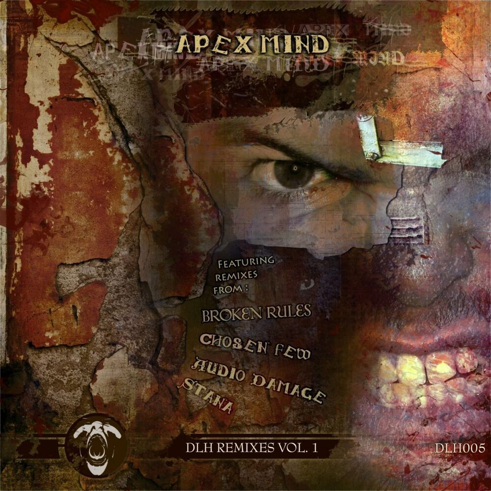 Picture of Dlh remixes volume 1
