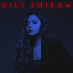 Cover of Dili Shikaw