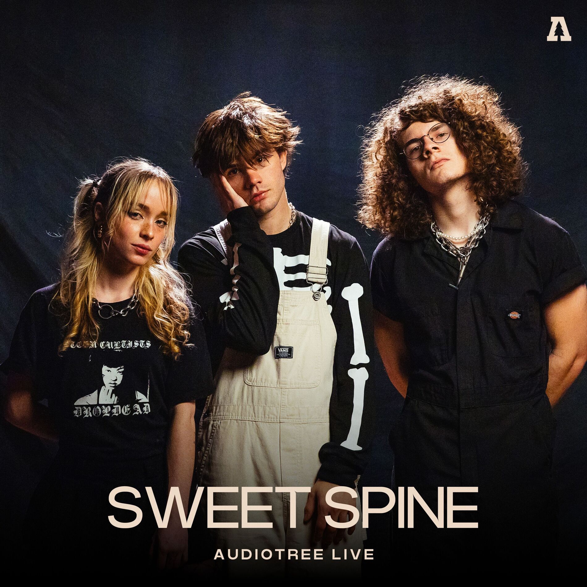 Album cover of SWEET SPINE on Audiotree Live