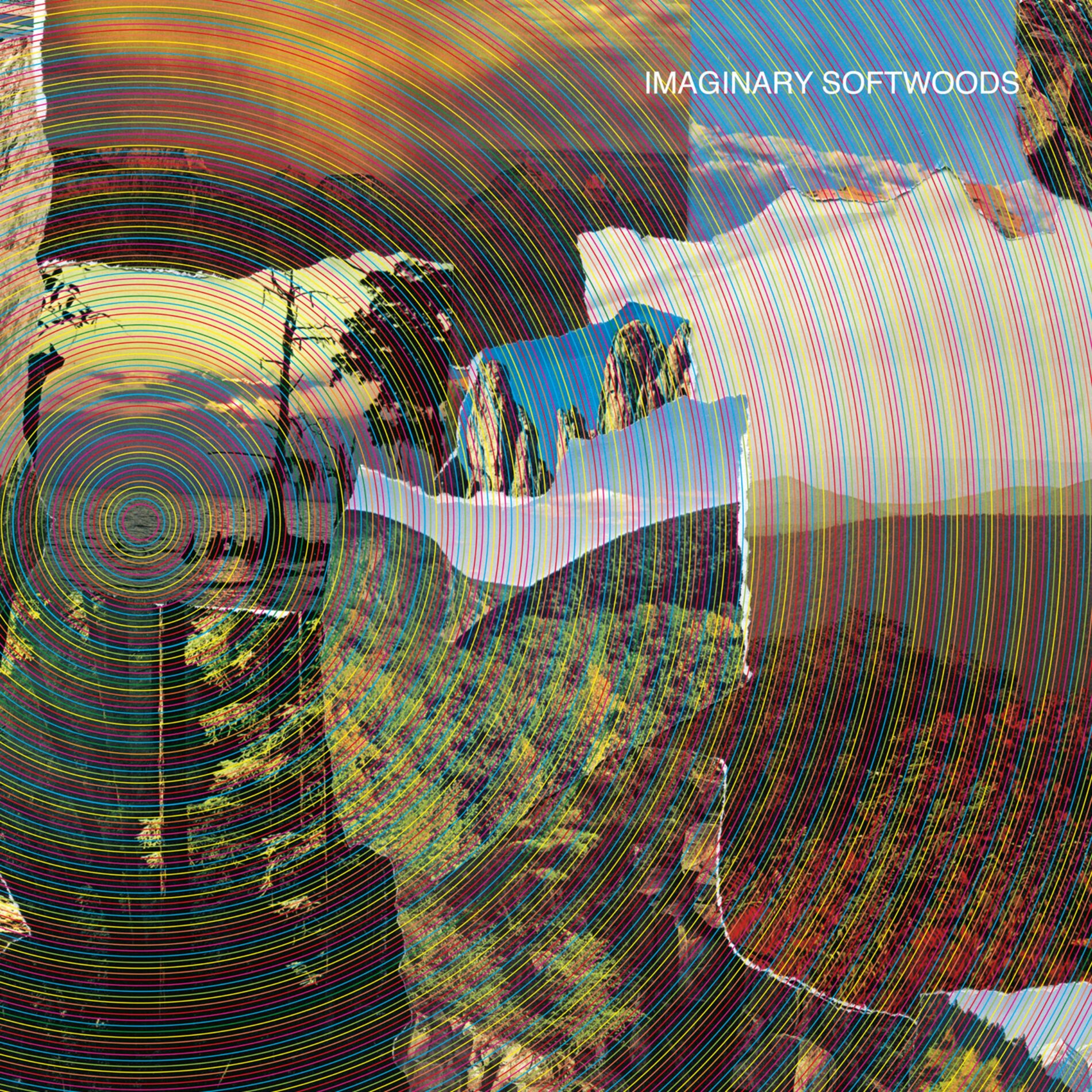 Album cover of Imaginary Softwoods