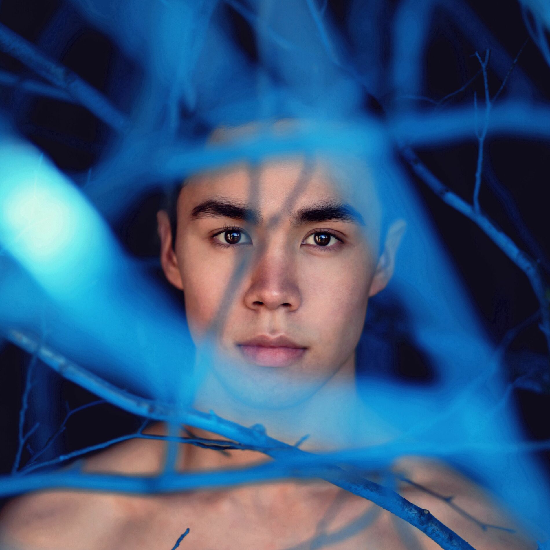 Pim Stones: albums, songs, concerts | Deezer