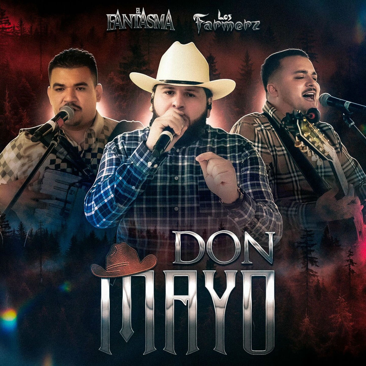 Album cover of Don Mayo
