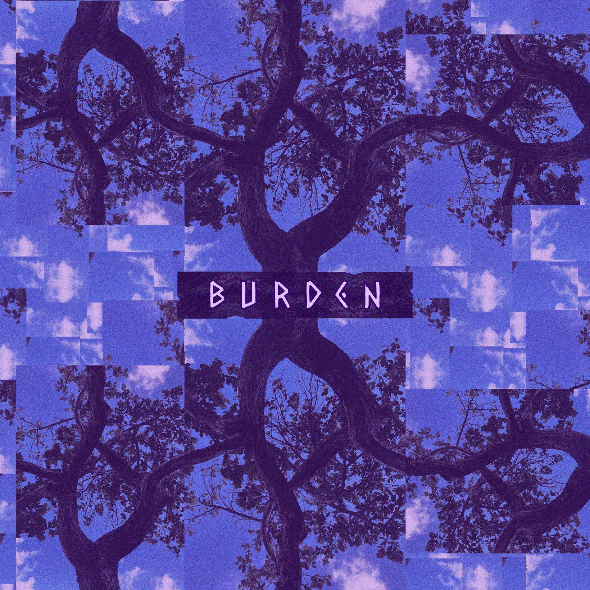 Album cover of burden