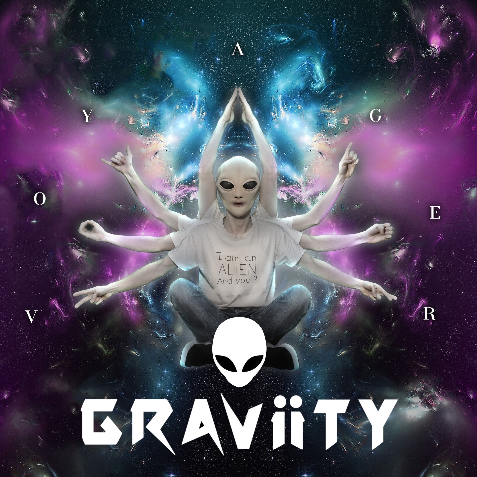 Album cover of The Voyager