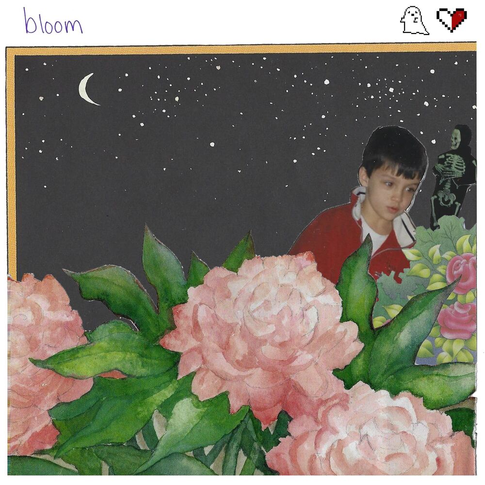 Picture of Bloom