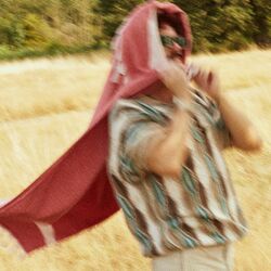 Cover of Bang Bang