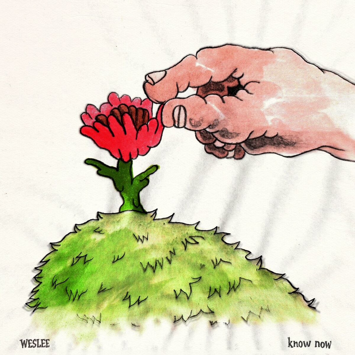 Album cover of know now