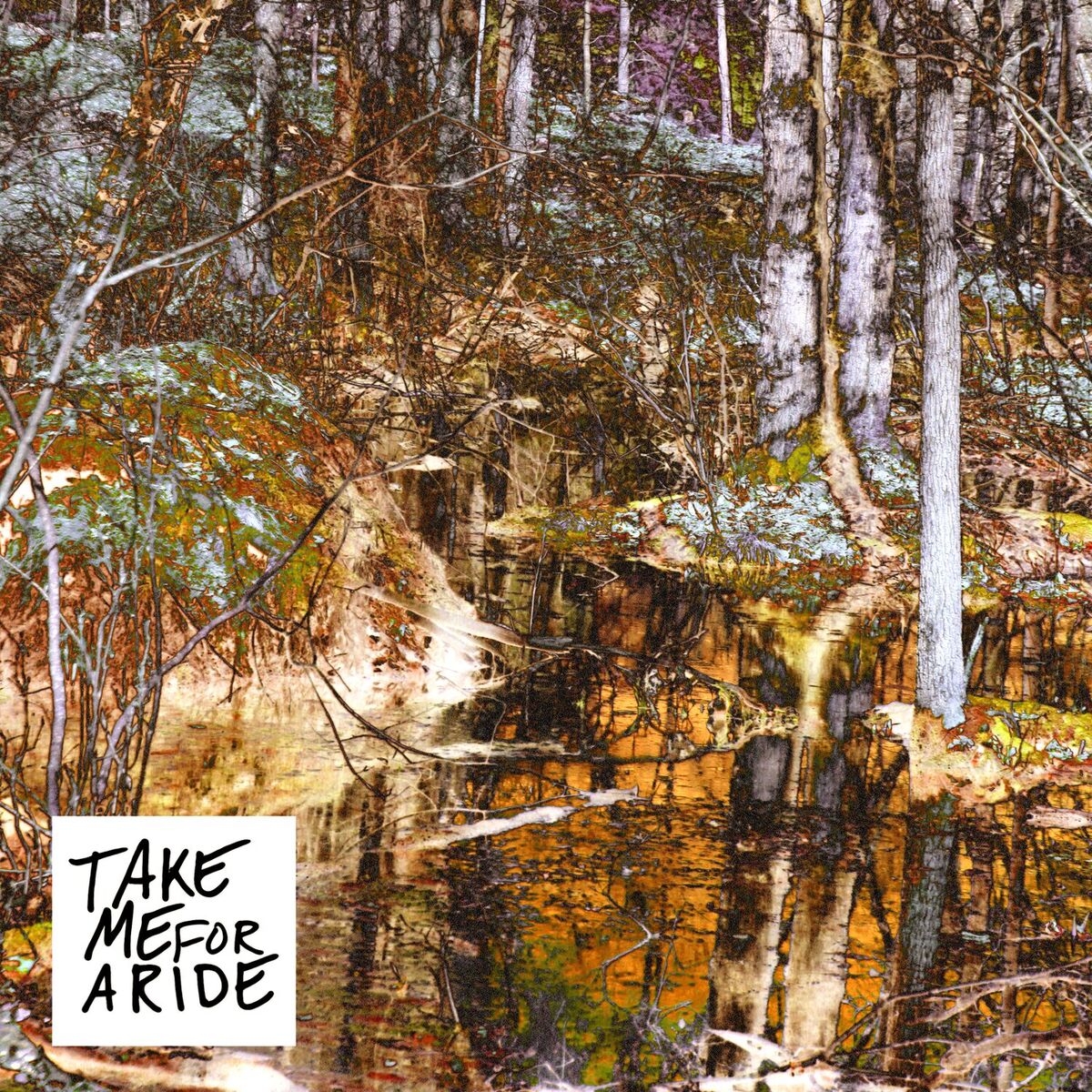 Album cover of Take Me For A Ride