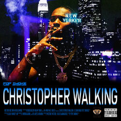 Cover of Christopher Walking