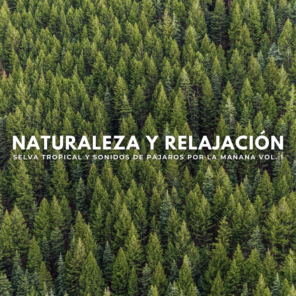 Picture of Naturaleza Y Relajación: Selva Tropical Y Sonidos De Pájaros Por La Mañana Vol. 1
