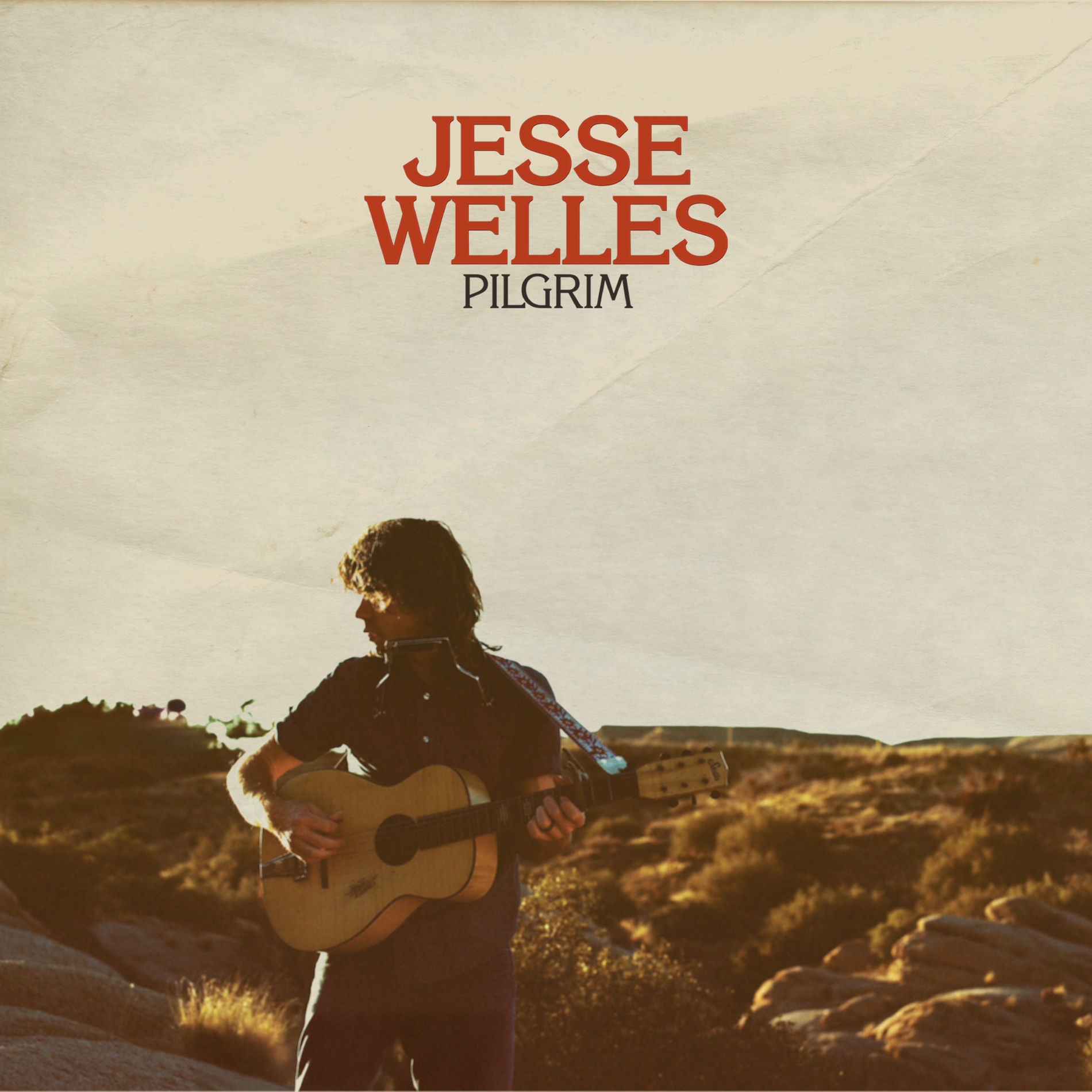 Album cover of Wild Onions