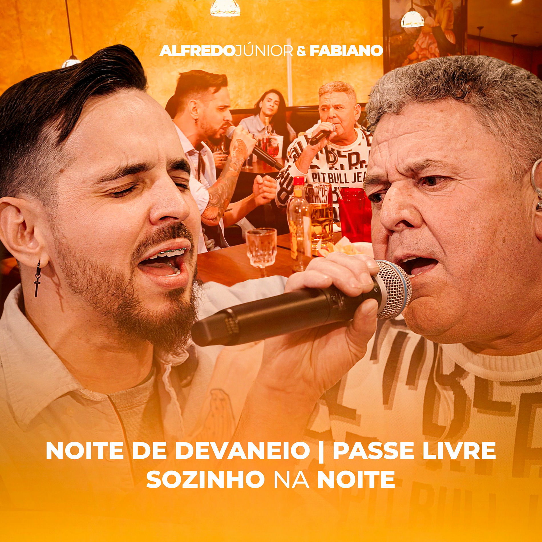 Album cover of Noite de Devaneio / Passe Livre / Sozinho na Noite