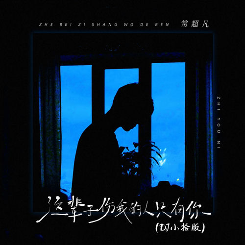 这辈子伤我的人只有你 (Dj小拾版)