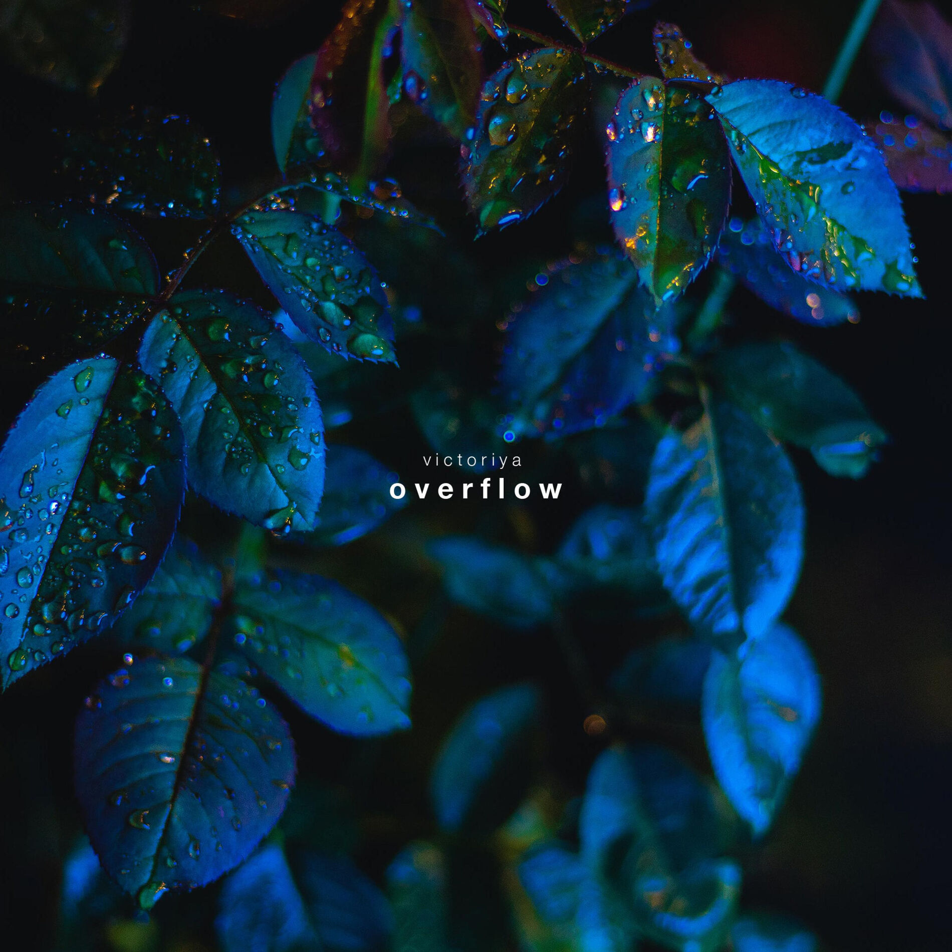 Album cover of Overflow