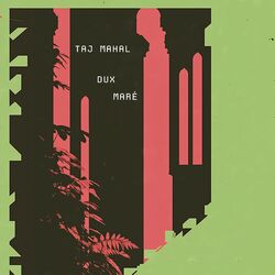 Taj Mahal (DUX, Maré Remix)